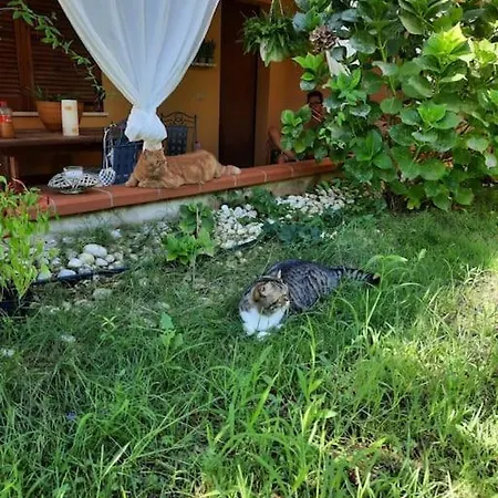 Casa Al Mare Porto Columbu *